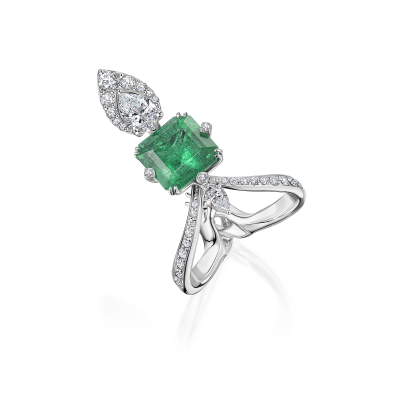 R04-SM-003-6 Кольцо (750)