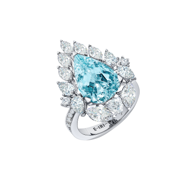 R01-FD-004-6 Кольцо (750)