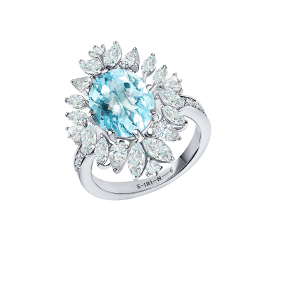 R02-FD-004-6 Кольцо (750)