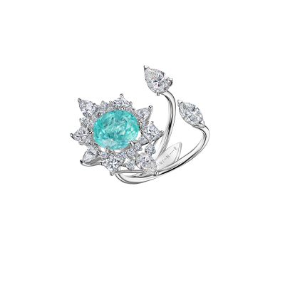 R29-FD-067-6 Кольцо (750)